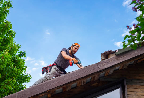 Best Gutter Installation and Repair  in Ome, GA
